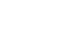 02 Experience