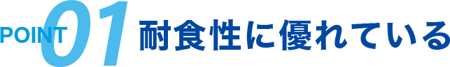 point 01 耐食性に優れている